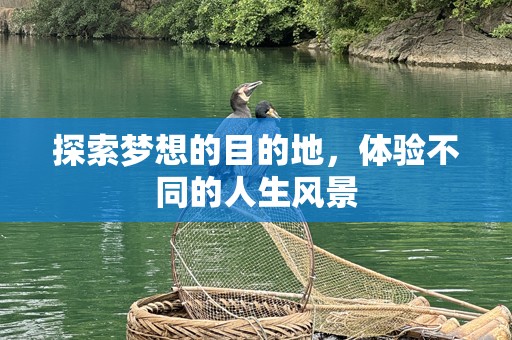探索梦想的目的地，体验不同的人生风景