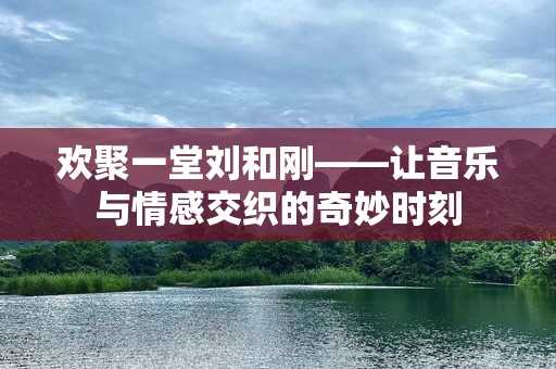 欢聚一堂刘和刚——让音乐与情感交织的奇妙时刻