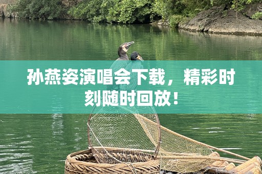孙燕姿演唱会下载，精彩时刻随时回放！