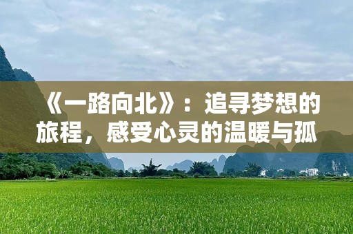 《一路向北》：追寻梦想的旅程，感受心灵的温暖与孤独