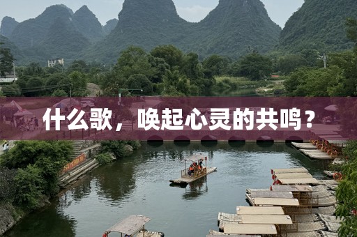 什么歌，唤起心灵的共鸣？
