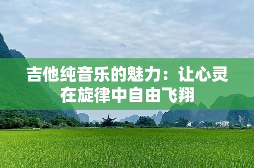 吉他纯音乐的魅力：让心灵在旋律中自由飞翔