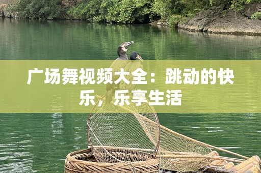 广场舞视频大全：跳动的快乐，乐享生活