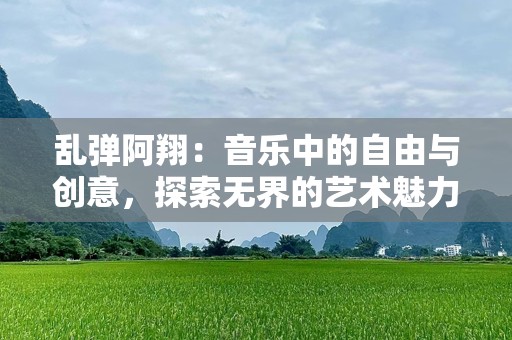 乱弹阿翔：音乐中的自由与创意，探索无界的艺术魅力