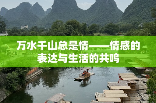 万水千山总是情——情感的表达与生活的共鸣