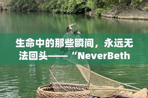 生命中的那些瞬间，永远无法回头——“NeverBetheSameAgain”的感悟