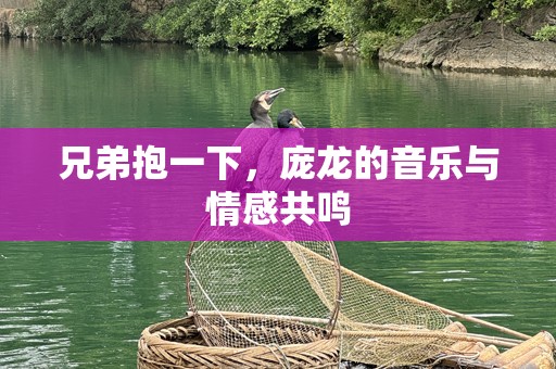 兄弟抱一下，庞龙的音乐与情感共鸣