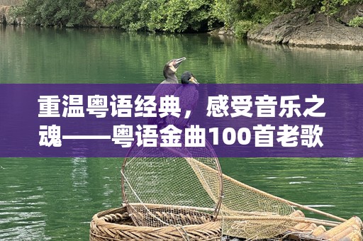 重温粤语经典，感受音乐之魂——粤语金曲100首老歌的魅力