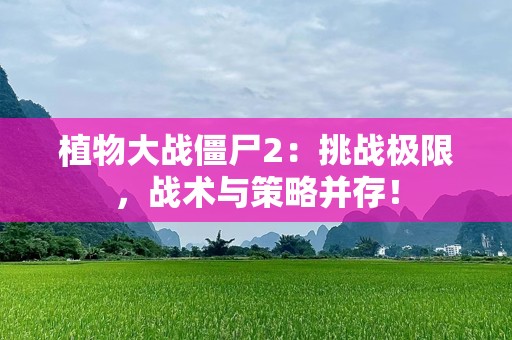 植物大战僵尸2：挑战极限，战术与策略并存！