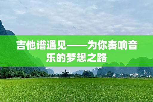 吉他谱遇见——为你奏响音乐的梦想之路
