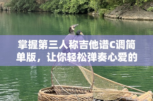掌握第三人称吉他谱C调简单版，让你轻松弹奏心爱的歌曲