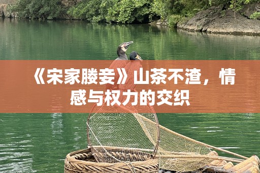 《宋家媵妾》山茶不渣，情感与权力的交织