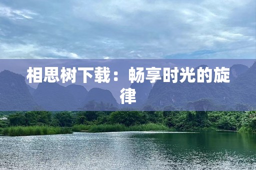 相思树下载：畅享时光的旋律