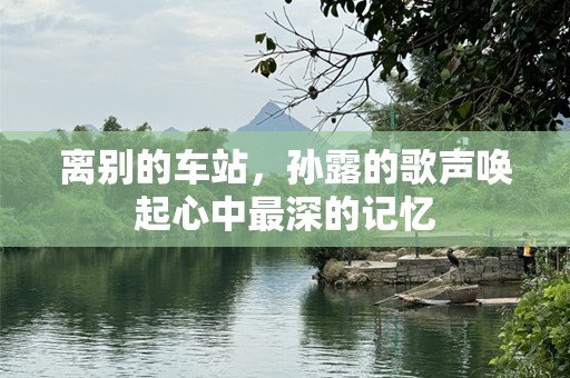 离别的车站，孙露的歌声唤起心中最深的记忆