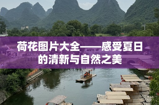荷花图片大全——感受夏日的清新与自然之美