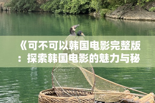 《可不可以韩国电影完整版：探索韩国电影的魅力与秘密》