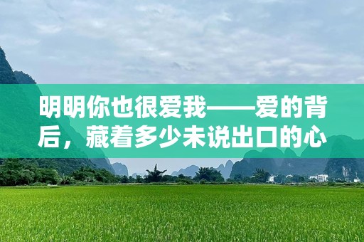 明明你也很爱我——爱的背后，藏着多少未说出口的心声