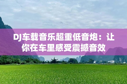 DJ车载音乐超重低音炮：让你在车里感受震撼音效