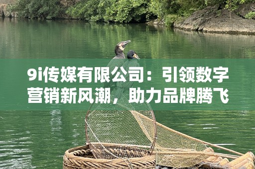 9i传媒有限公司：引领数字营销新风潮，助力品牌腾飞