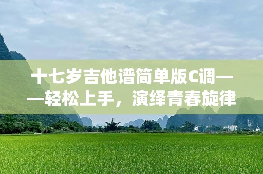 十七岁吉他谱简单版C调——轻松上手，演绎青春旋律