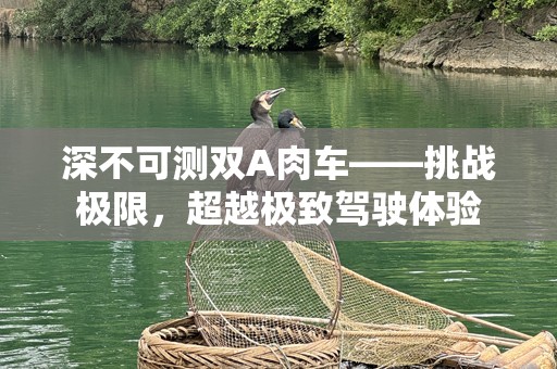 深不可测双A肉车——挑战极限，超越极致驾驶体验