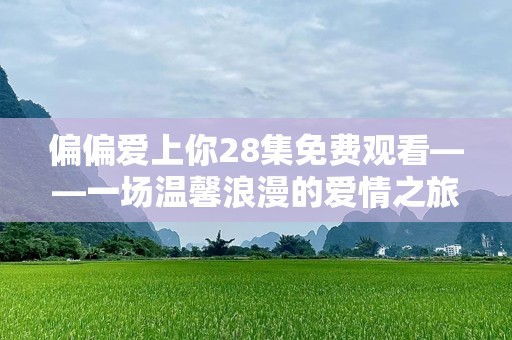 偏偏爱上你28集免费观看——一场温馨浪漫的爱情之旅