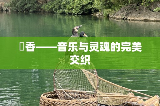 絢香——音乐与灵魂的完美交织