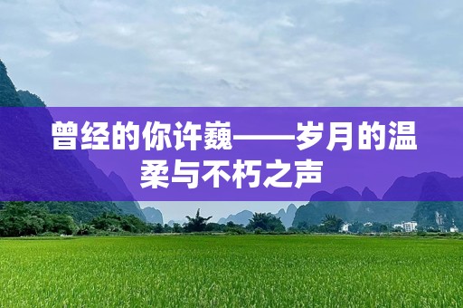 曾经的你许巍——岁月的温柔与不朽之声