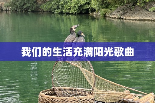 我们的生活充满阳光歌曲