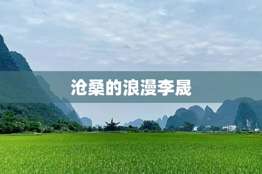 沧桑的浪漫李晟