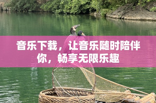 音乐下载，让音乐随时陪伴你，畅享无限乐趣