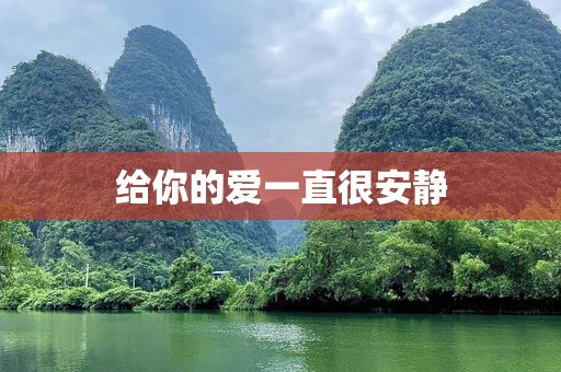 给你的爱一直很安静