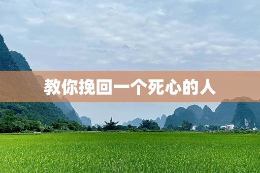 教你挽回一个死心的人