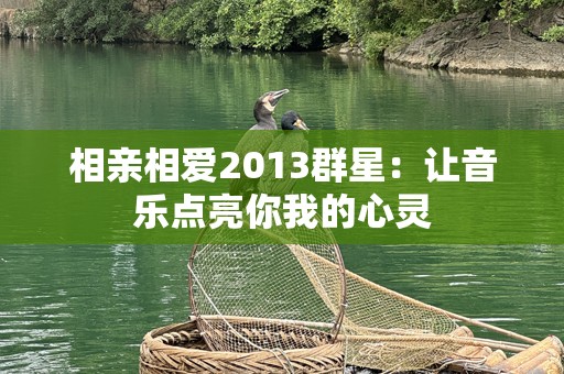 相亲相爱2013群星：让音乐点亮你我的心灵