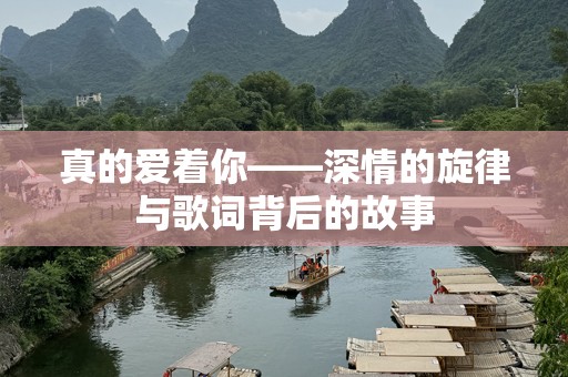 真的爱着你——深情的旋律与歌词背后的故事