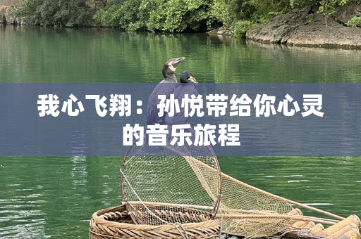我心飞翔：孙悦带给你心灵的音乐旅程