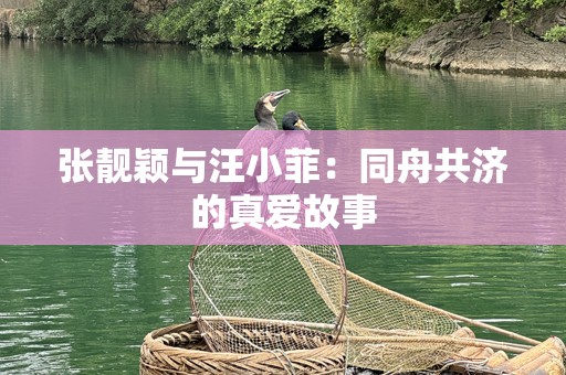 张靓颖与汪小菲：同舟共济的真爱故事