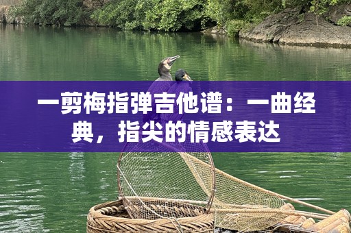一剪梅指弹吉他谱：一曲经典，指尖的情感表达