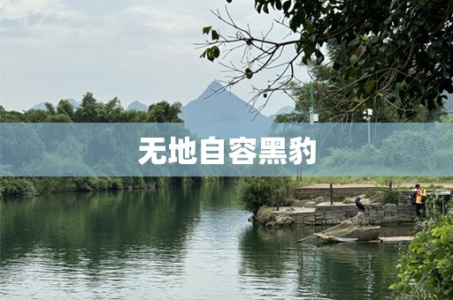 无地自容黑豹