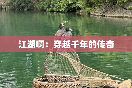 江湖啊:穿越千年的传奇 江湖啊:穿越千年的传奇