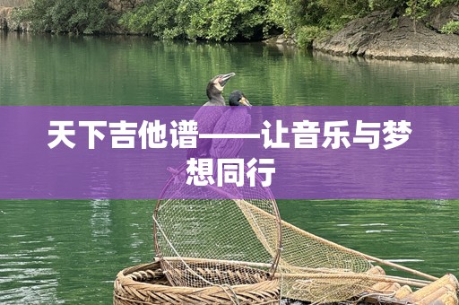 天下吉他谱——让音乐与梦想同行