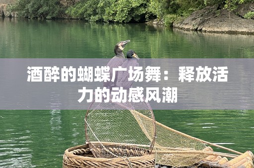 酒醉的蝴蝶广场舞：释放活力的动感风潮