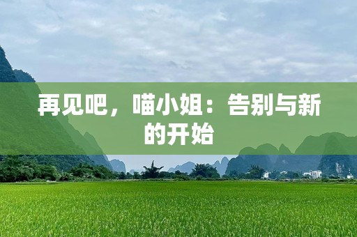 再见吧，喵小姐：告别与新的开始