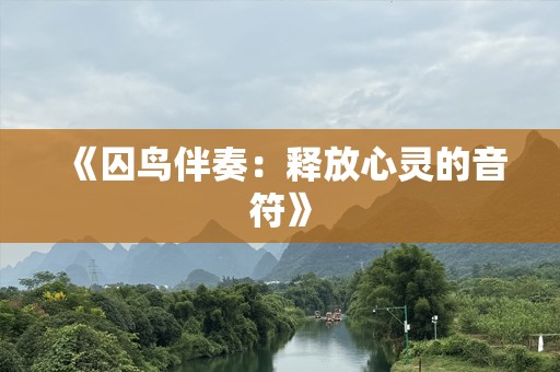 《囚鸟伴奏：释放心灵的音符》