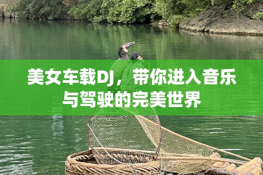 美女车载DJ，带你进入音乐与驾驶的完美世界