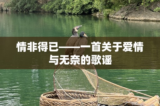 情非得已——一首关于爱情与无奈的歌谣