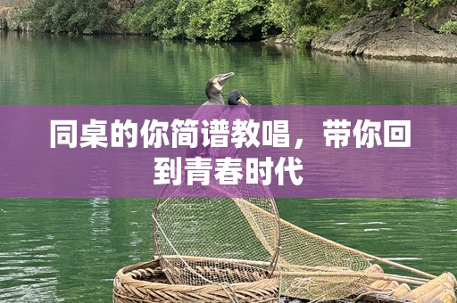同桌的你简谱教唱，带你回到青春时代