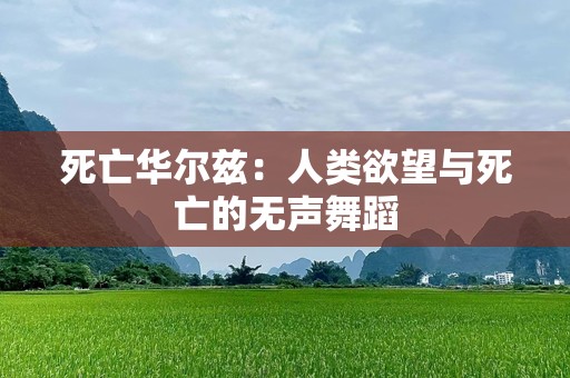 死亡华尔兹：人类欲望与死亡的无声舞蹈