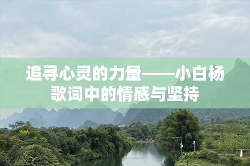 追寻心灵的力量——小白杨歌词中的情感与坚持