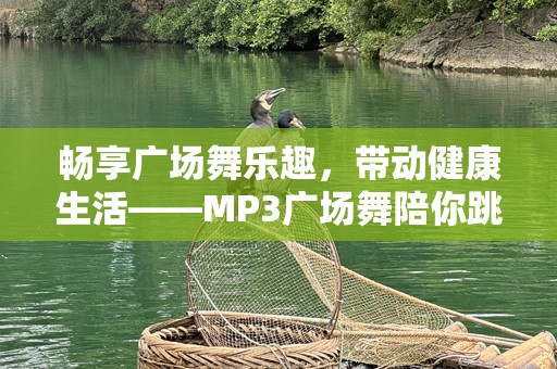 畅享广场舞乐趣，带动健康生活——MP3广场舞陪你跳动每一天